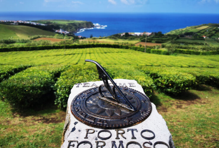 Azory, São Miguel - plantacja herbaty Porto Formoso