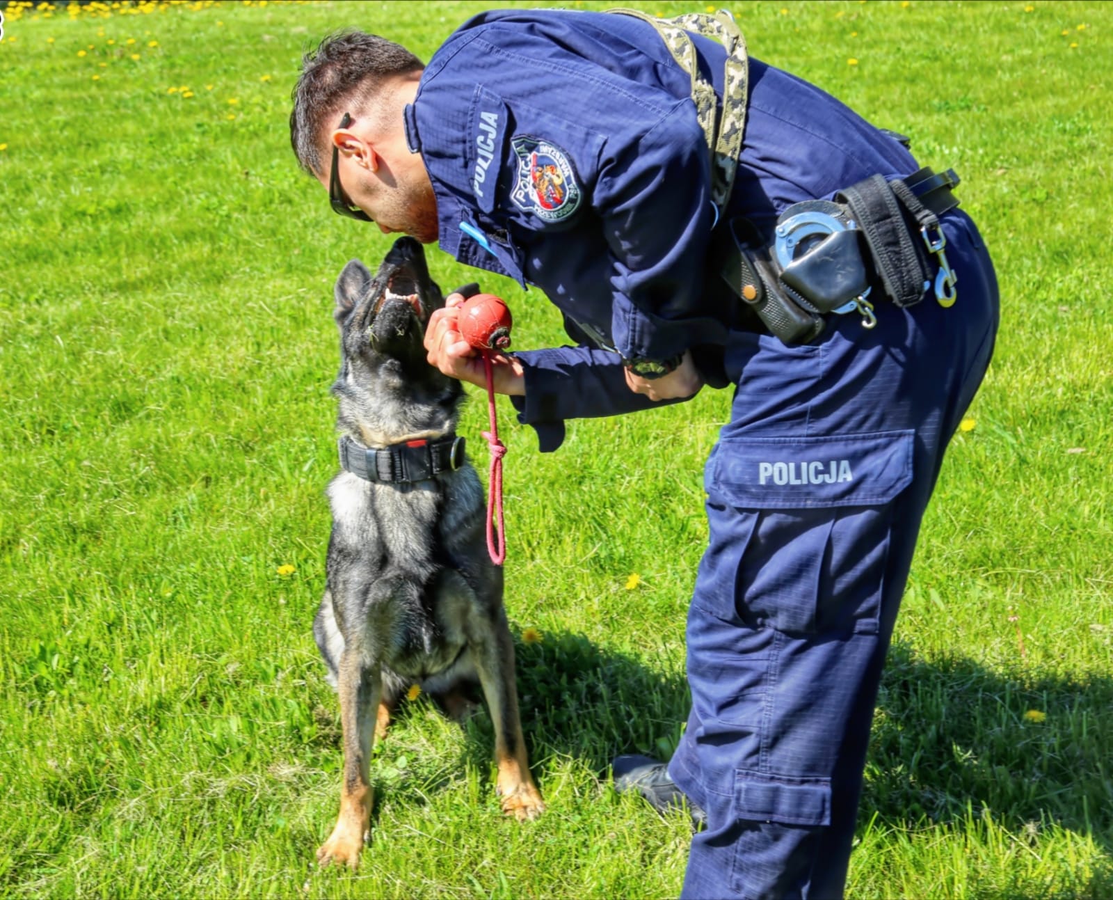 Przewodnik psa służbowego wraz z czworonożnym partnerem. Fot.: Polska Policja